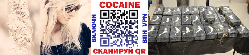 Cocaine Fish Scale  Купить закладки  Жирновск 