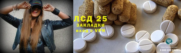 стафф Богородицк