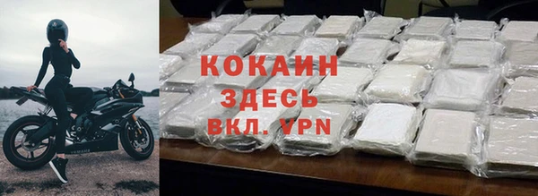 спайс Богданович