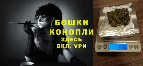 спайс Богданович