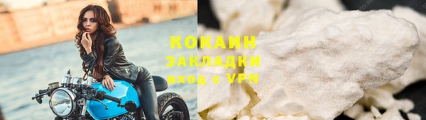 спайс Богданович