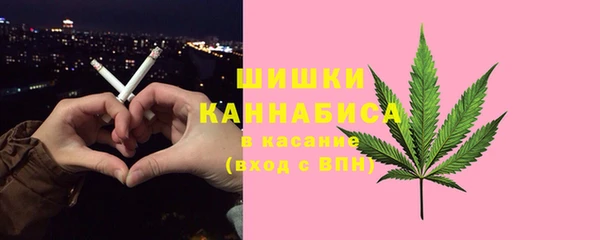 стафф Богородицк
