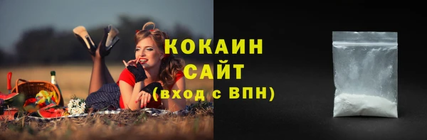 стафф Богородицк