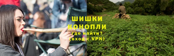 стафф Богородицк
