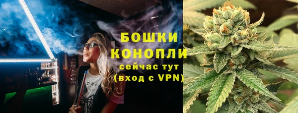 спайс Богданович