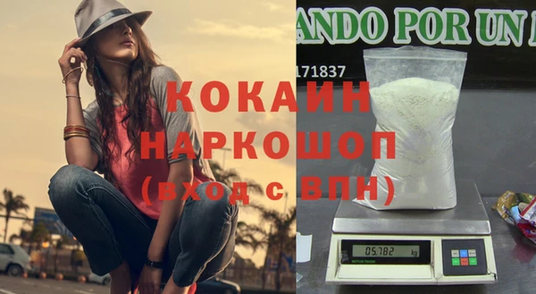 спайс Богданович